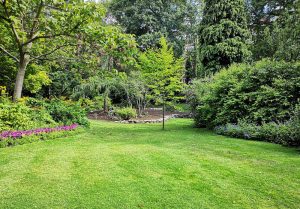 Optimiser l'expérience du jardin à Montbert